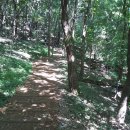 [5월18일욜] 봉산편백나무숲&amp;앵봉산길따라(235m) 이미지
