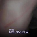 미쳐 돌아가는 사우디 축구 리그 근황 이미지