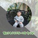 18개월 육아일기(D+576~581) / 타요마니아, 이마 쿵, 아둘맘의 정신력