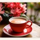 민원21행정사사무소 이미지