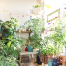 아이-정원 이미지