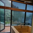 비다펠리스 이미지