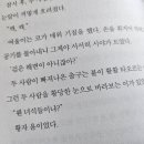 황자비어 이미지