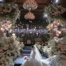 메이비즈 이미지