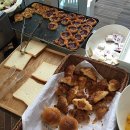 제주도 서귀포 저렴한 숙소 파우제인제주 숙박 및 조식 후기 &amp; 가산토방 흑돼지 먹었숨당ㅎㅎ