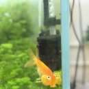 병점1로 | 화성네일아트 진안동네일 뷰티공간수네일 아트 후기