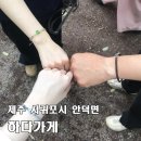 안덕면 소라민박 옆 | [제주 하다가게] 비 오는 날 실내 활동 추천, 딸들과 제주 감성 팔찌 만들기 체험 공방, 커플템 득템
