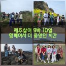 더감사 | ✈️ 제주살이 9박 10일, 함께여서 더 좋았던 시간(감사 후기)