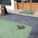 위베이크 이미지