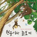 그림책으로 삶의 지혜를 | 마음성장 속담그림책 삶의 지혜를 배우는 '원숭이와 늘보씨' 겸손하자