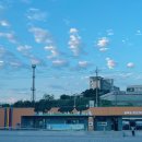 성밖숲정보센터 이미지