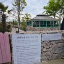 블루애견