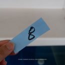 대게마트초장