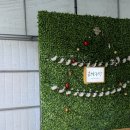 은하농장 이미지