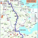 청량산 임도1 이미지