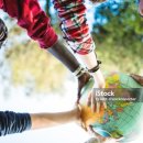 장수돌침대(주)논현점 | 장수 돌침대 한달 사용 후기 리뷰 --- 내돈내산 실제 체험 경험 후기만 적습니다. 세라젬 견인 추간판...