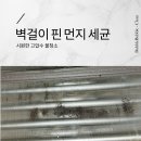 버블크린 이미지