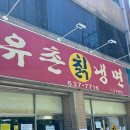 대구3대냉면 화원 냉면 맛집 유촌칡냉면 내돈내산 후기