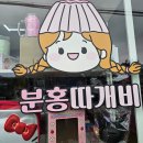 분홍따개비