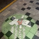 3672 | 부산 광안리 살몬브라더스 | 생연어 맛집 재방문 10번 넘은 찐 단골의 진짜 내돈내산 후기