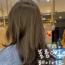 혜은헤어 이미지