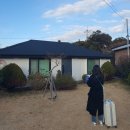 하도탐나 이미지