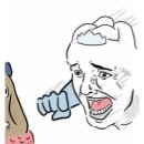 새나리 이미지