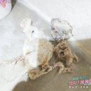 기찬주택관리 이미지