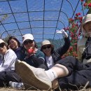 빵빵 - 강북구 도봉로 355 | 빵빵