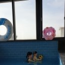 안면도 더마레풀빌라 B2, 2박 후기 (with 17개월 아기)