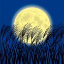 블루노트 이미지