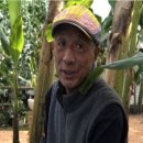열정과일