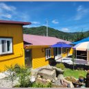 강가힐링민박 | 대전 근처 독채 민박에서의 완벽한 촌캉스! 놓칠 수 없는 이유