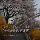 분당천 | [국내여행] 경기도 분당구 수내동 벚꽃&amp;개나리 명소 “황새울공원/분당천” 방문후기