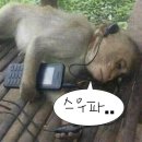 행복은 방울방울