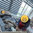 다온요양병원 | 안산장기요양기관 다온요양원에서의 따뜻한 일상 후기