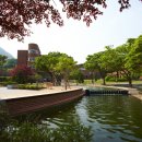 청강문화산업대학교 이미지