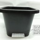 산수정원 티스토리