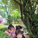 꿈드리유치원 이미지