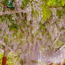 창북중학교 도서관 이미지