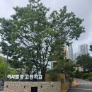 드림학교 | 퓨전국악밴드비원, 뿜뿜하는 에너지! 이사벨중학교에서 펼쳐진 '학교로 찾아가는 공연드림' 생생 후기 🎶