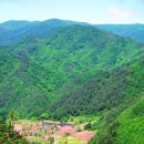 신왕초 부연분교장 이미지