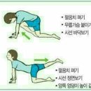 인애가요양병원 - 송파구 문정로 65 | 인애가요양병원