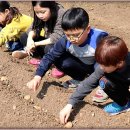 외포초등학교 이미지