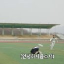 사랑자유평화낭만