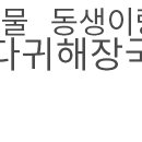 조마루뼈다귀북부점 이미지