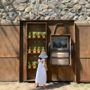 에이플러스 호스텔 이미지