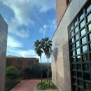 팔공산올레길 8코스 | 제주도 서귀포 부영호텔 올레길 8코스 러닝 후기