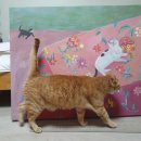 고흥의 하루 이미지