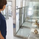 여주동물병원 이미지